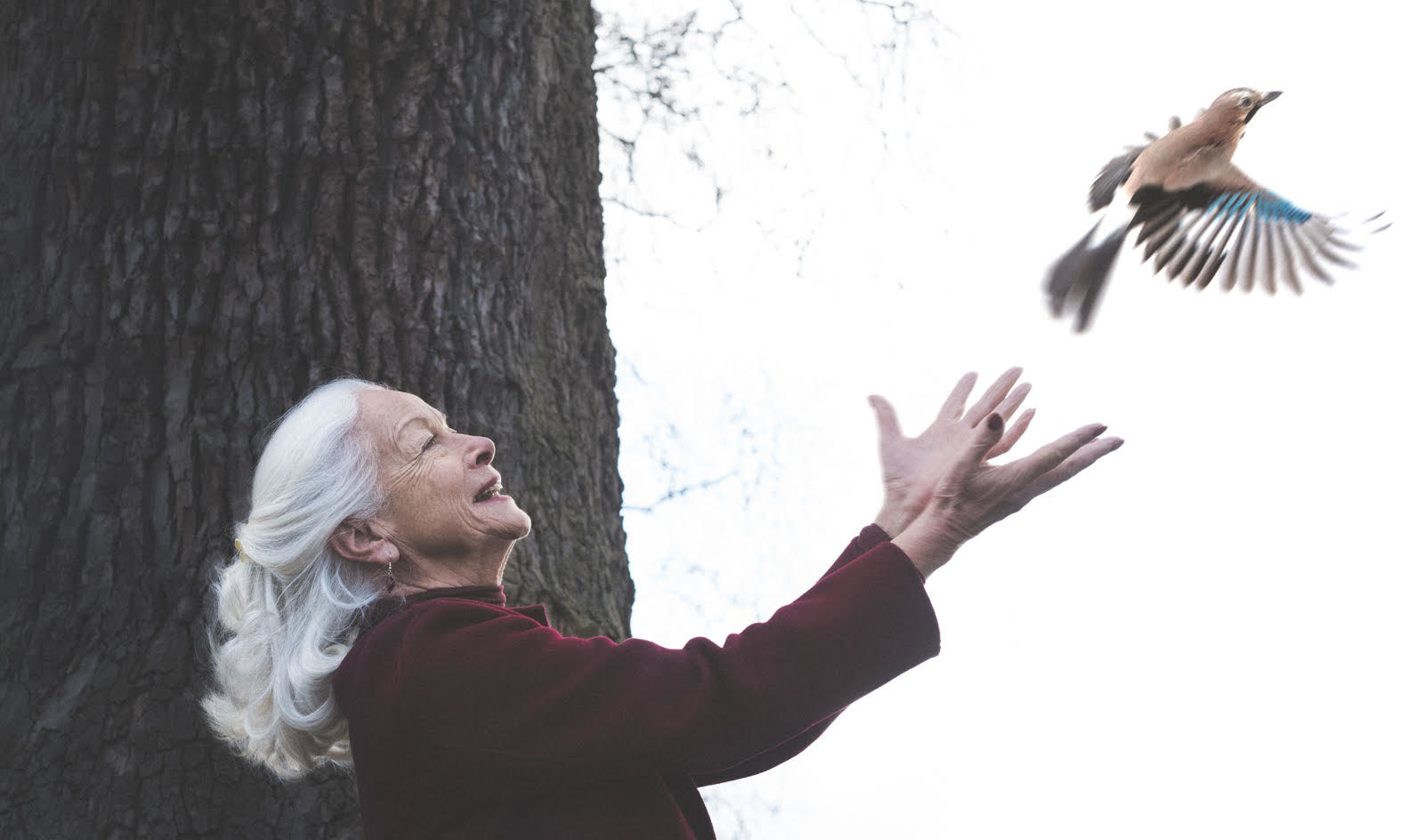 Scilla releases a jay (bird) from her outstretched hands into a wintery sky.